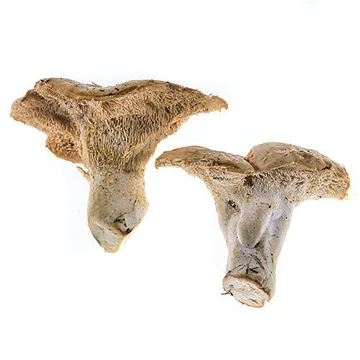 Pied De Mouton Mushrooms