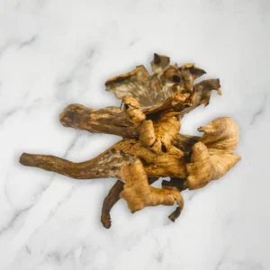 Trompette De la Mort